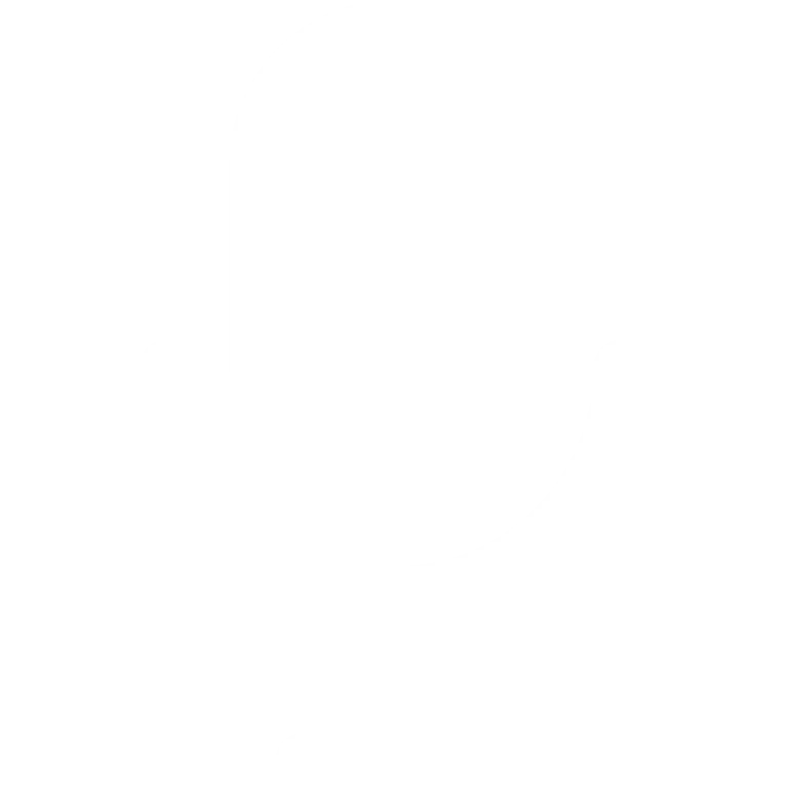 icon of a microphone